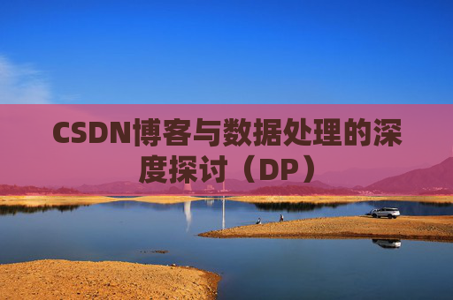 CSDN博客与数据处理的深度探讨（DP）